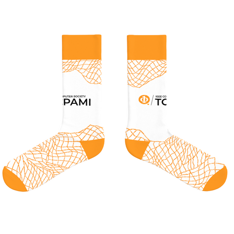IEEE 2026 TCPAMI Giveaway Socks