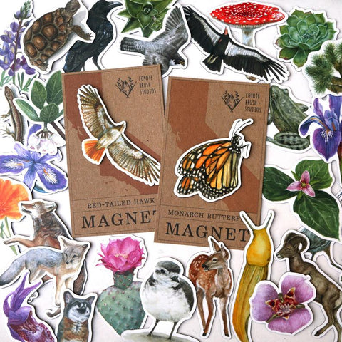 Waterproof Native California Flora & Fauna Magnets