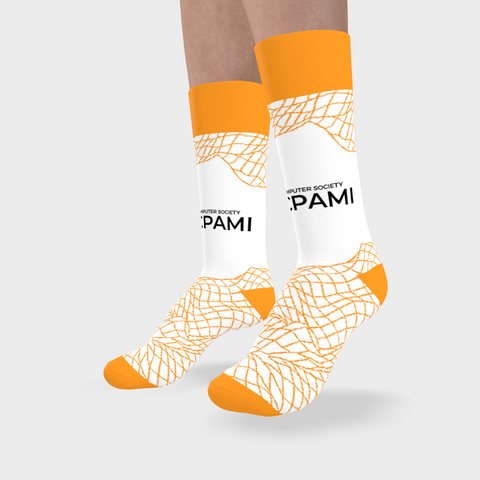 IEEE 2026 TCPAMI Giveaway Socks