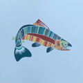 Colorful fish illustration on a white background