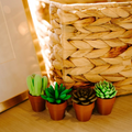 Four small potted plants in front of a woven basket on a wooden surface.