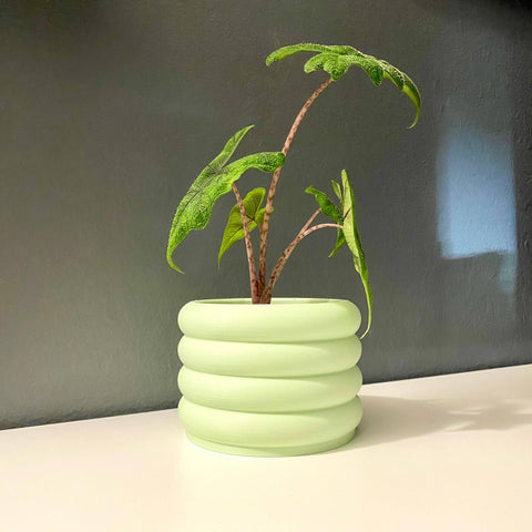 3D Printed 3" Bubble Pot Indoor Planter